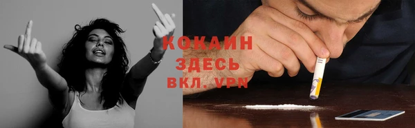 стаф Белокуриха