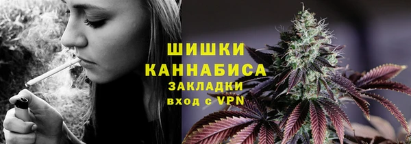 стаф Белокуриха